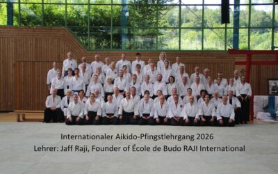 Aikido-Pfingstlehrgang in Heidenheim